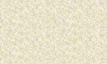 Bruno Zoff Gold 60125-2
