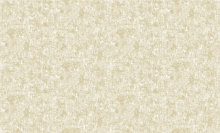 Bruno Zoff Gold 60128-3
