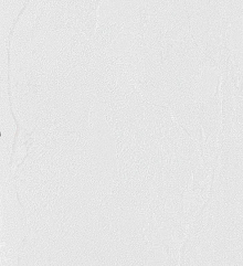 Обои под старые стены Bernardo Bartalucci Gaga  84284-15