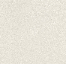 Andrea Rossi Spectrum Plus 54351-16