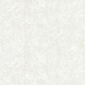 R 23646