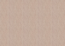 Fipar Modelli di Vita R 22665