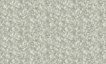 Bruno Zoff Gold 60124-5