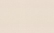 Однотонные бежевые обои (фон) Палитра Trend Color TC72251-42